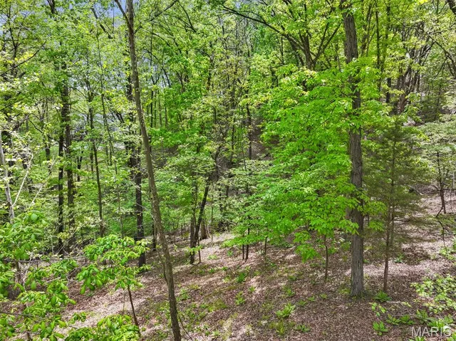 $65,000 | 1524 Shalimar Ridge Lane, High Ridge, MO 63049