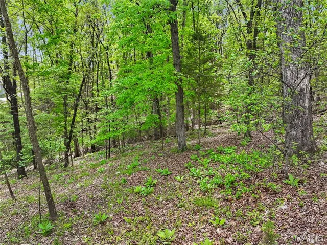 $65,000 | 1524 Shalimar Ridge Lane, High Ridge, MO 63049