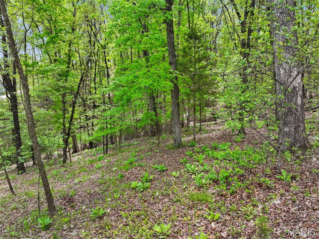 1524 Shalimar Ridge Lane High Ridge, MO 63049 - Photo 14 of 19