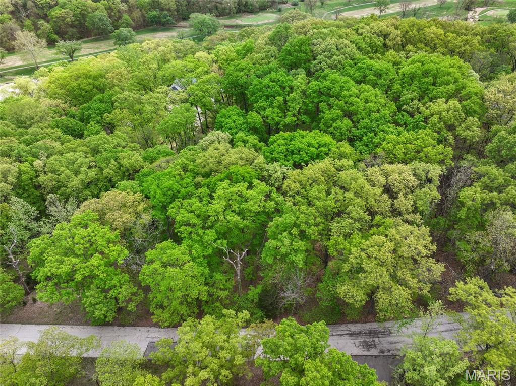 1524 Shalimar Ridge Lane High Ridge, MO 63049 - Photo 5 of 19