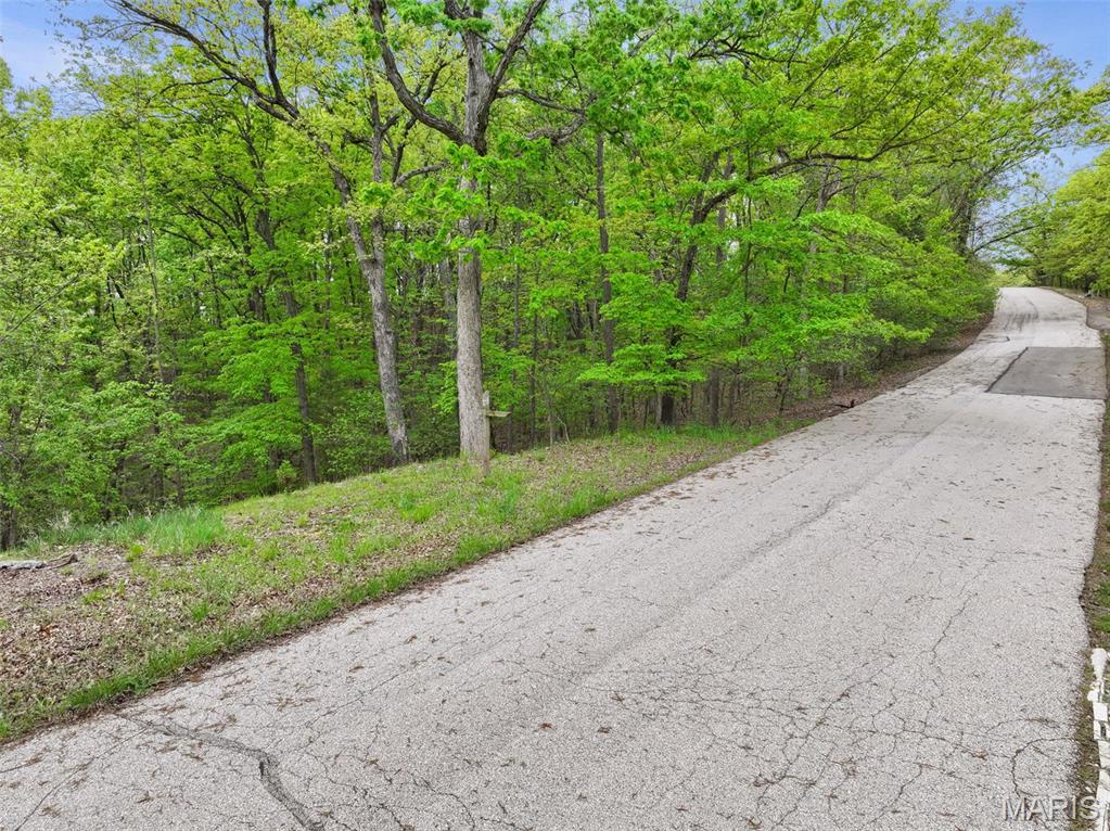 1524 Shalimar Ridge Lane High Ridge, MO 63049 - Photo 8 of 19