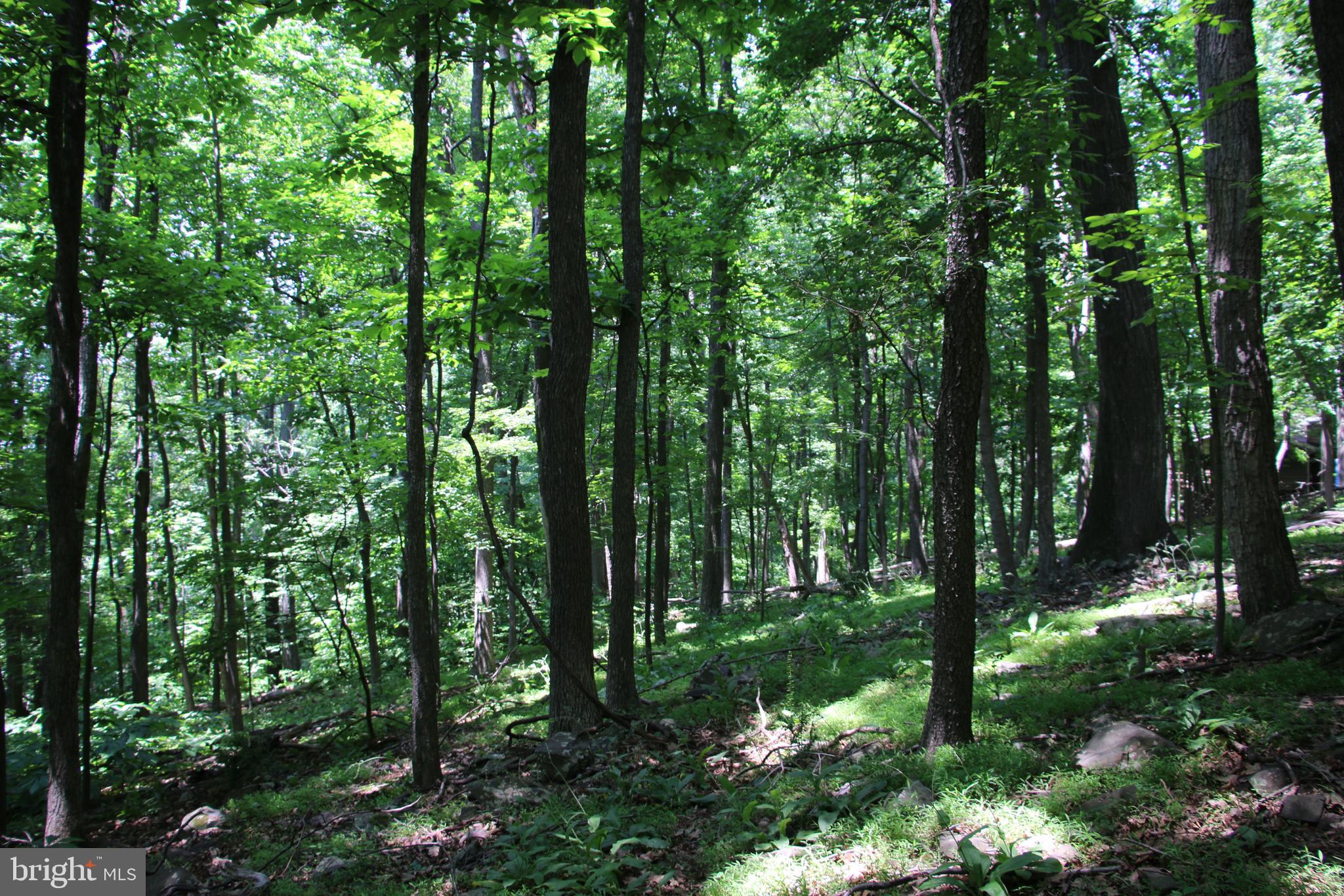View Drive Front Royal, VA 22630 - Photo 12 of 13