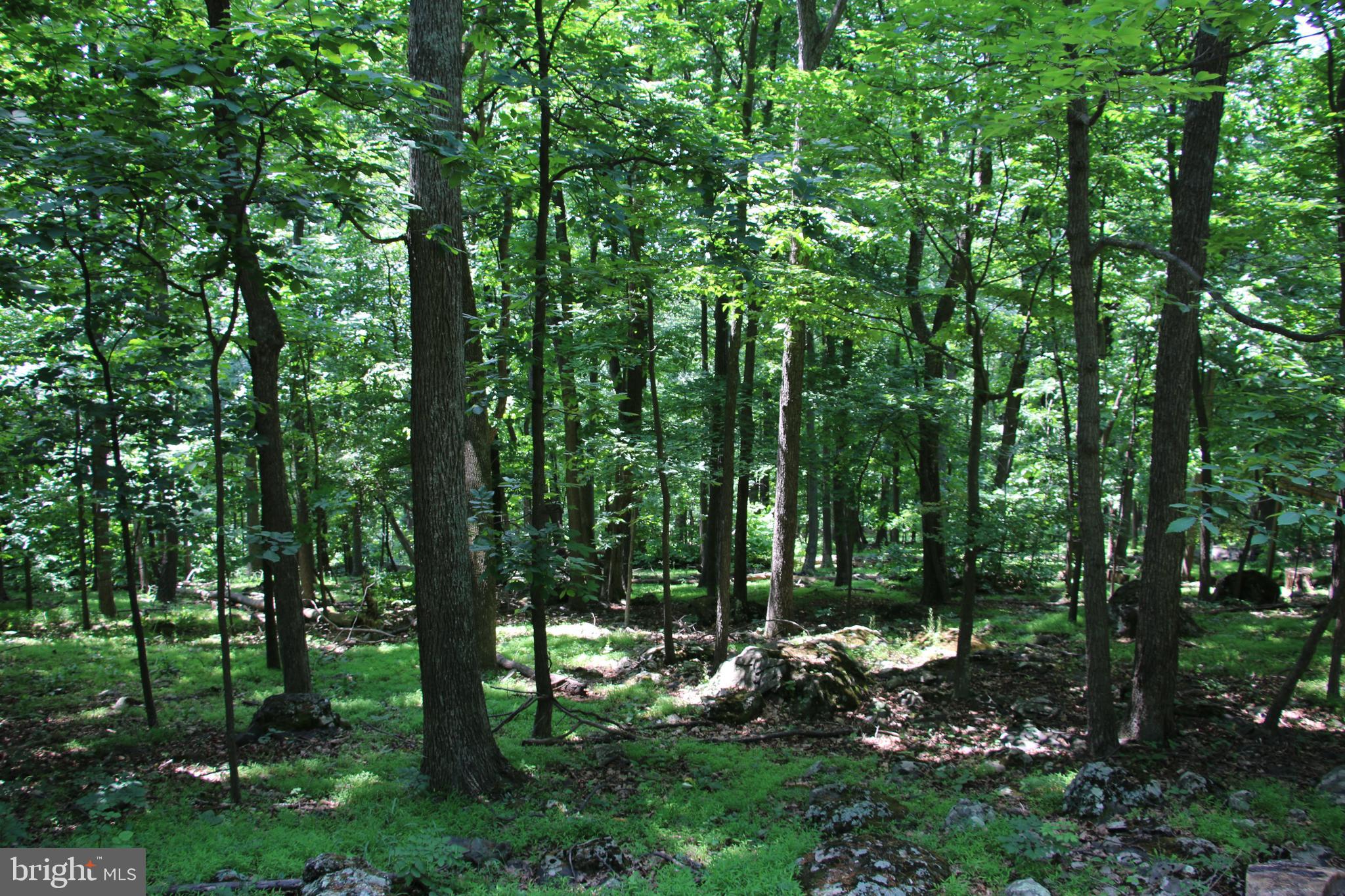 View Drive Front Royal, VA 22630 - Photo 4 of 13