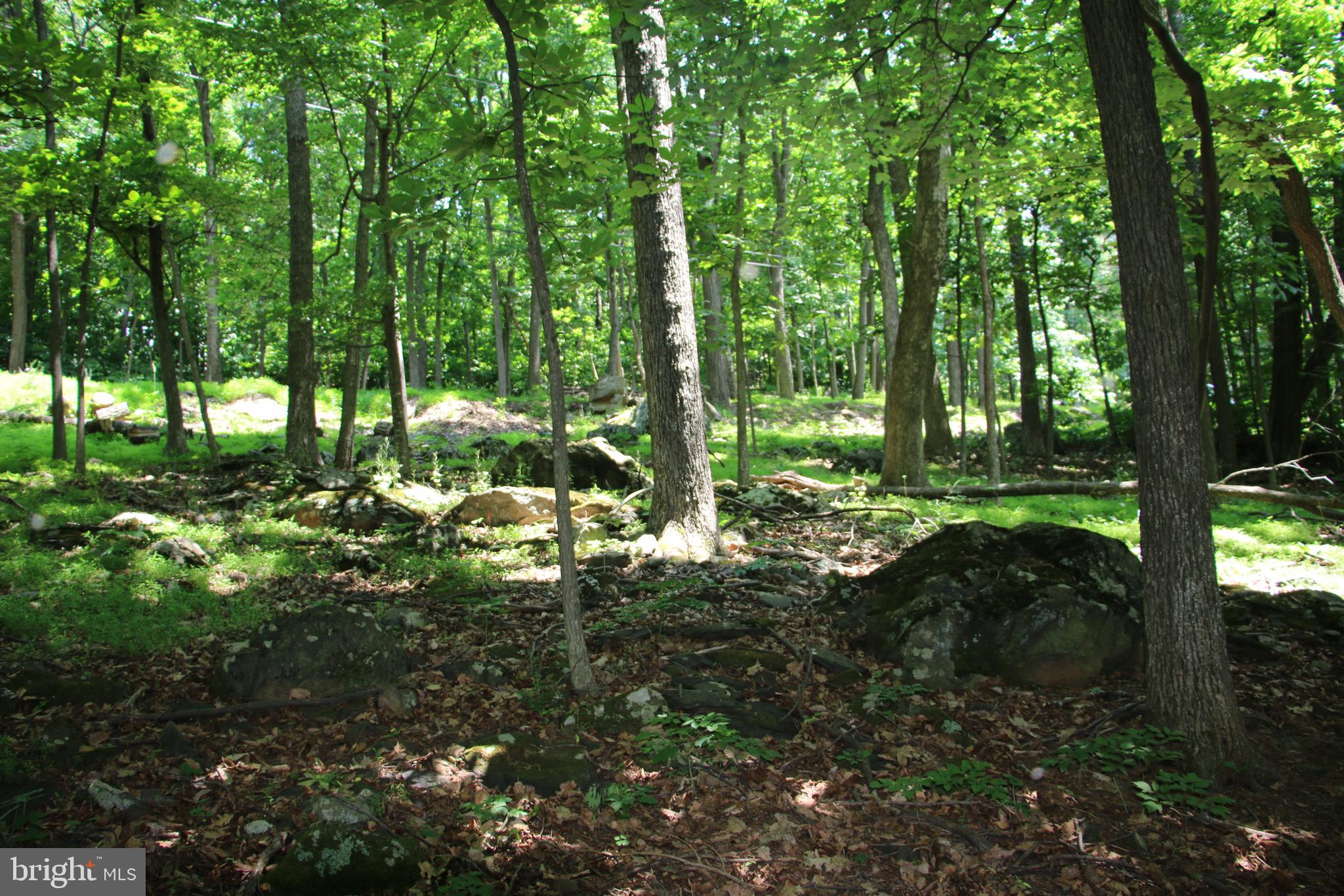 View Drive Front Royal, VA 22630 - Photo 10 of 13