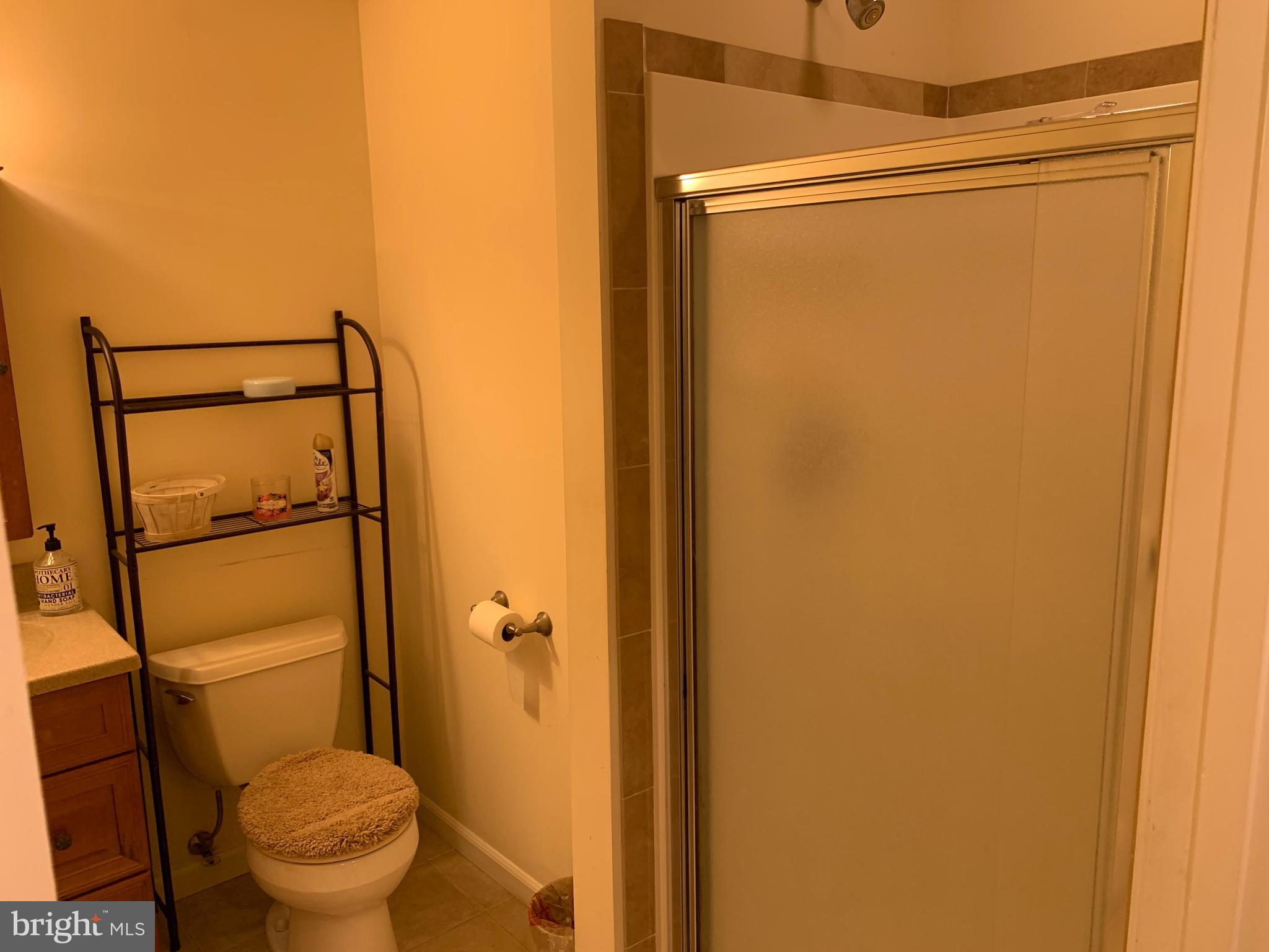 20260 Shelburne Glebe Road Purcellville, VA 20132 - Photo 13 of 14 Full bathroom in basement