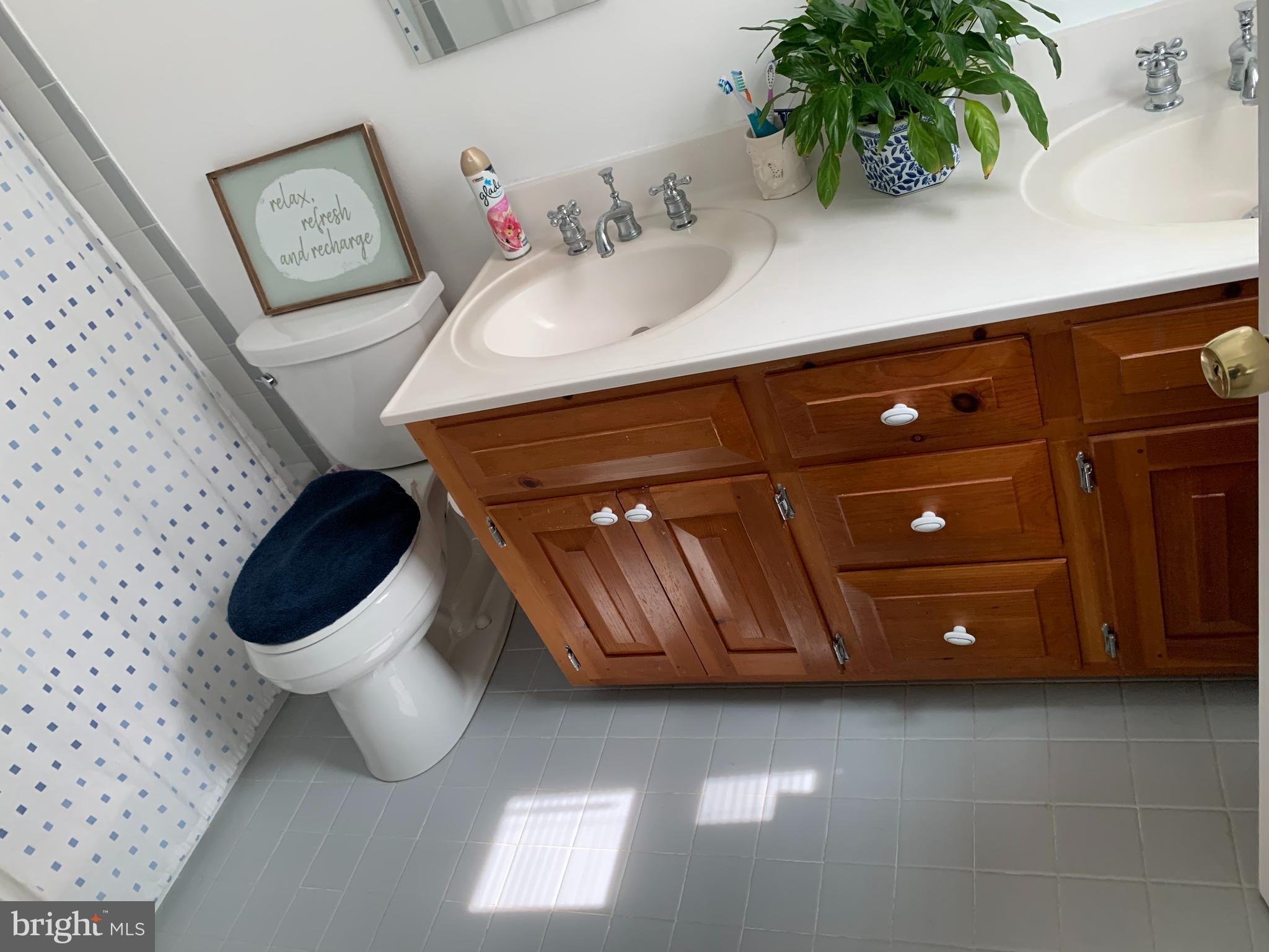 20260 Shelburne Glebe Road Purcellville, VA 20132 - Photo 7 of 14 Dual sink master bath