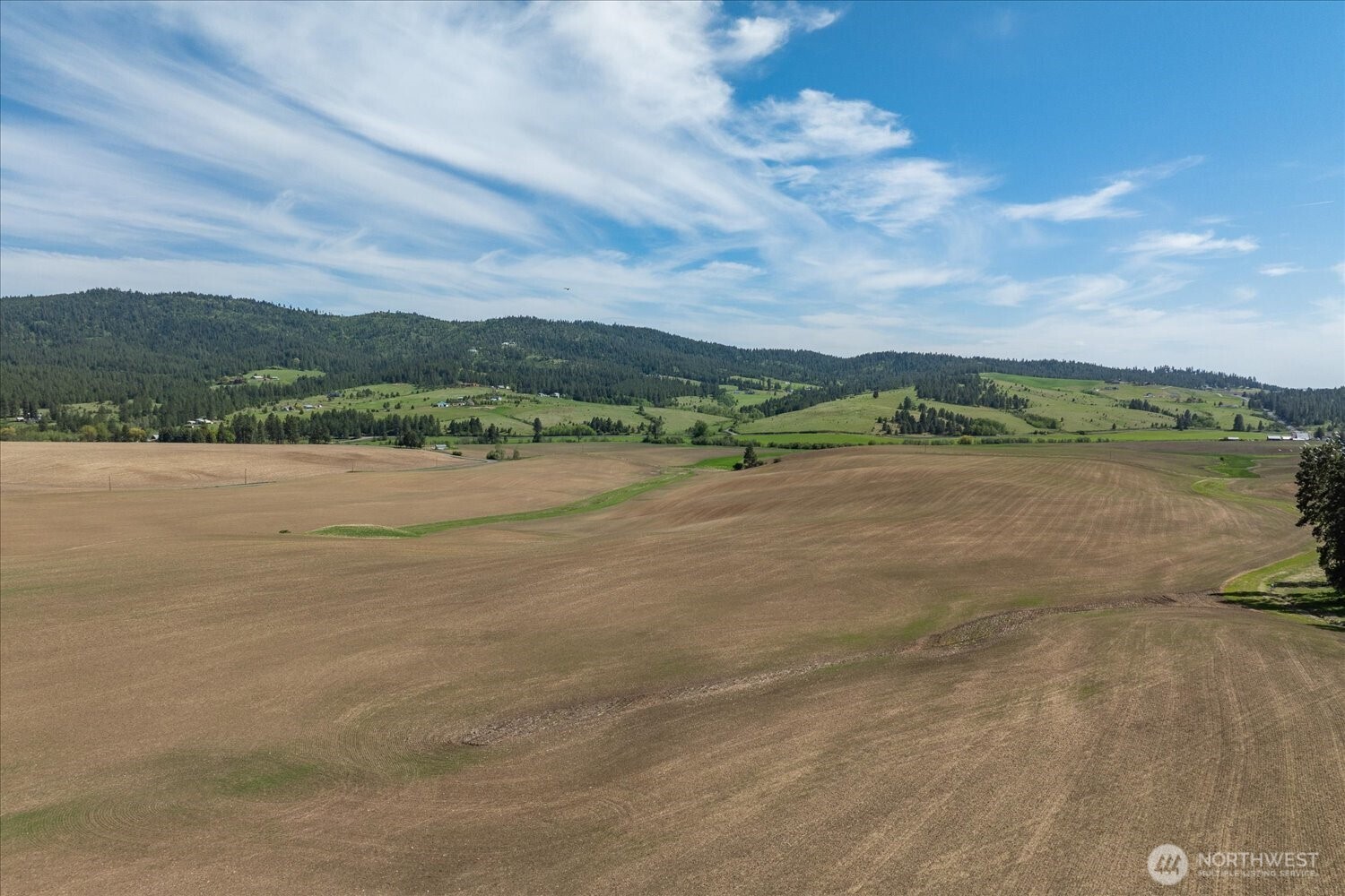 -xxx South Jackson Road, Unit LOT 17 Mica, WA 99023 - Photo 30 of 40