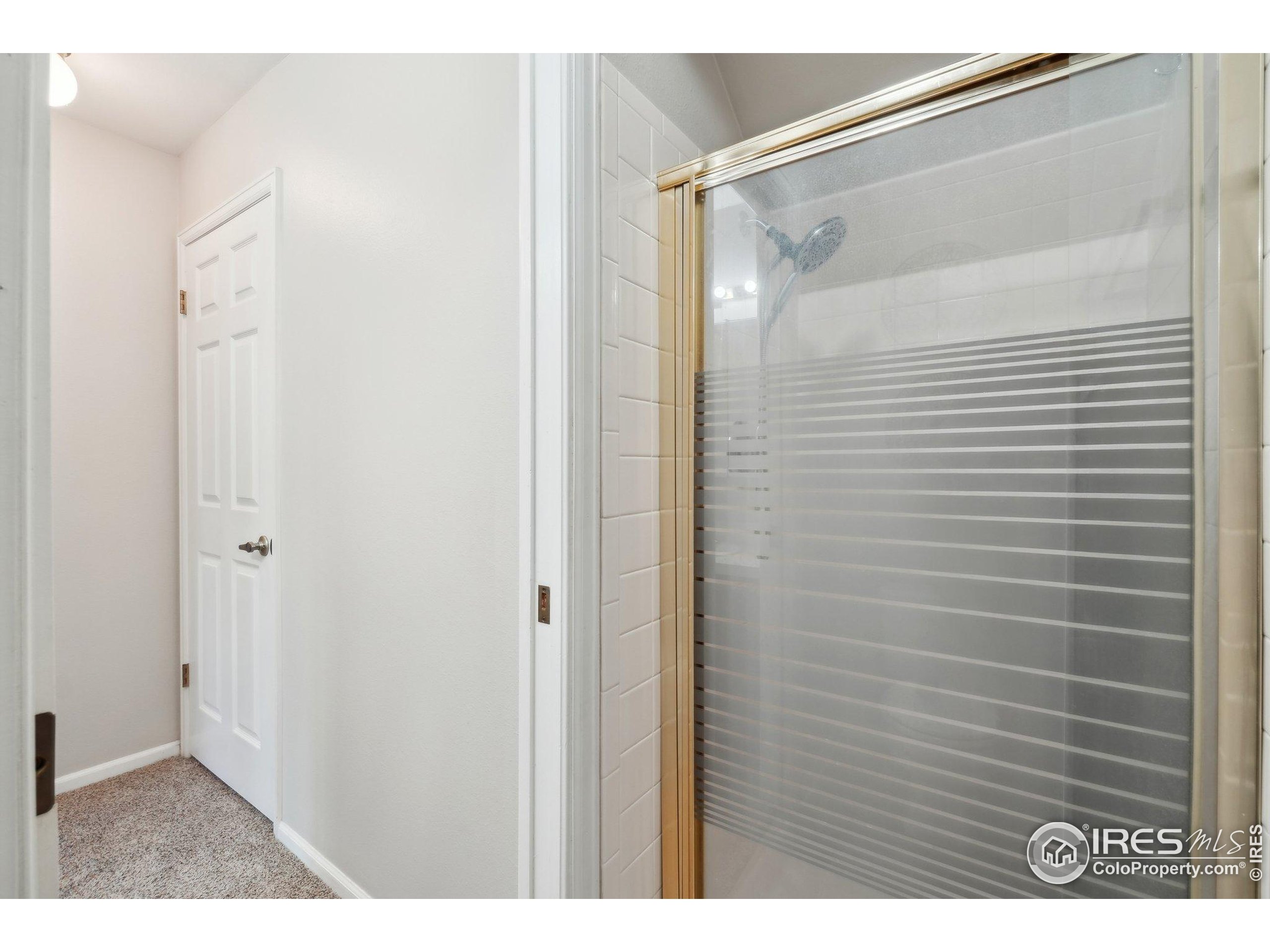 1601 West Swallow Road, Unit 9 Fort Collins, CO 80526 - Photo 27 of 33 a view of bathroom with shower