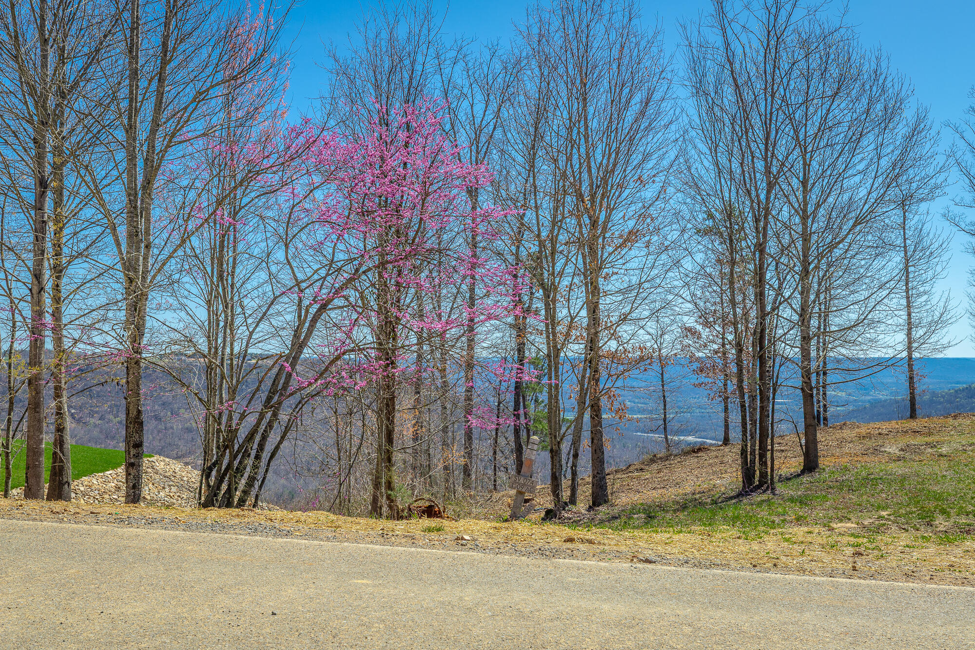 0 Sunset Circle, Unit 74 Jasper, TN 37347 - Photo 9 of 84 0 Sunset Circle - SV74 HD-4