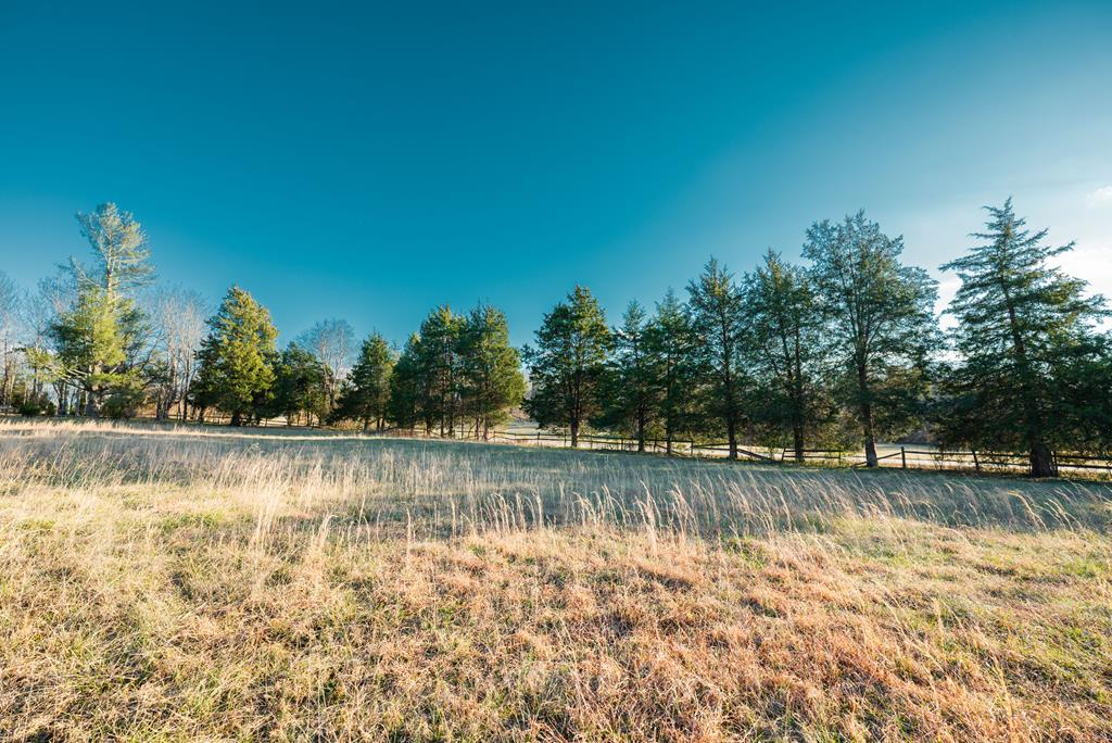 Falkland Road Meherrin, VA 23954 - Photo 11 of 20 Gallery Image 11