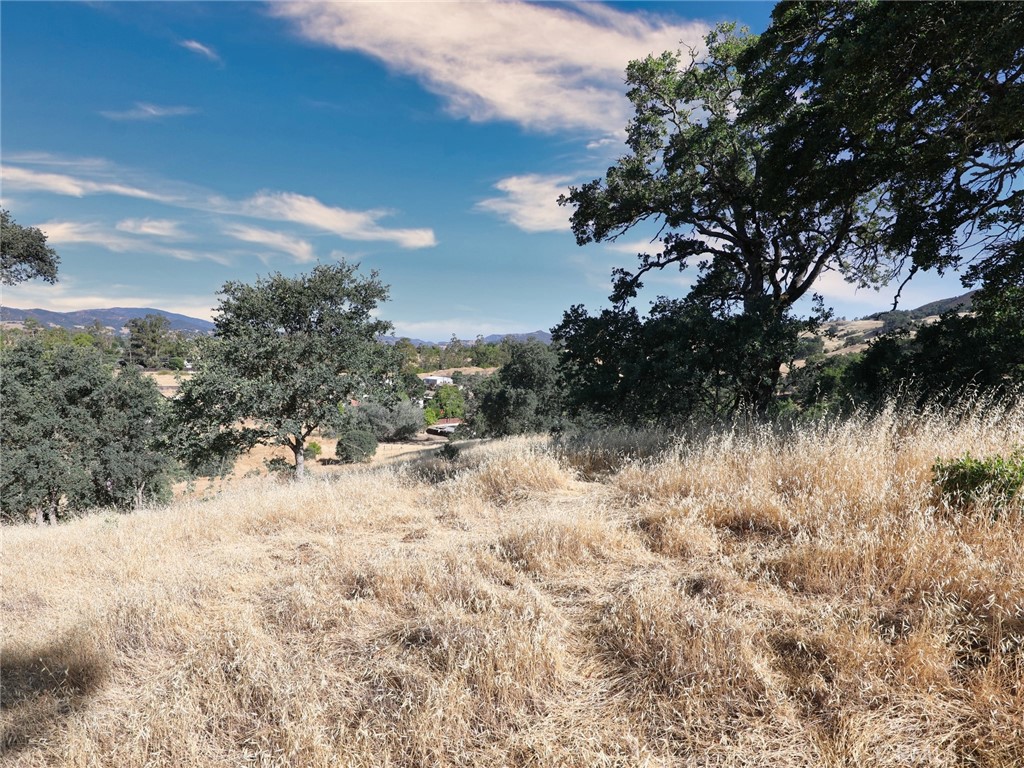 2425 Grant Street Nice, CA 95464 - Photo 2 of 6 a view of a yard