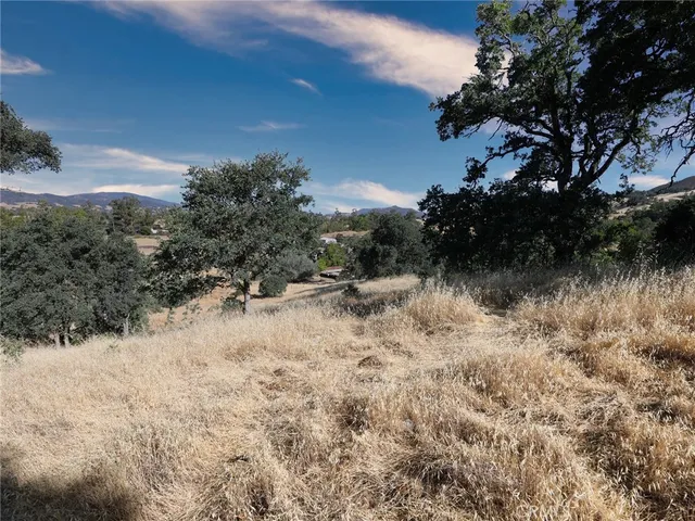 a view of a covered with trees in the background