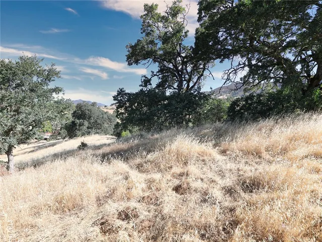 a view of a lake with a tree in the background