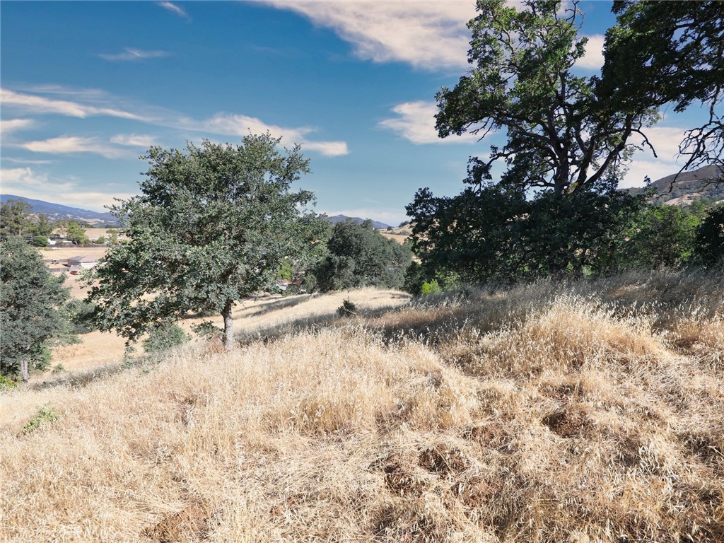 2425 Grant Street Nice, CA 95464 - Photo 5 of 6 a view of a lake view