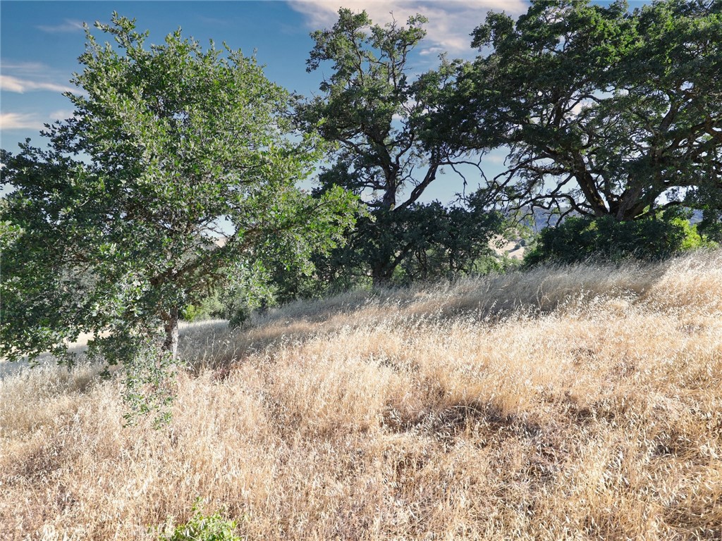 2425 Grant Street Nice, CA 95464 - Photo 6 of 6 a view of a lake with a tree
