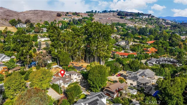 a view of a bunch of flowers