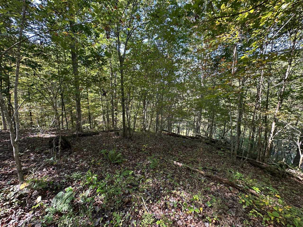 18 A Hall Road Grayson, KY 41143 - Photo 59 of 77 Gallery Image 59