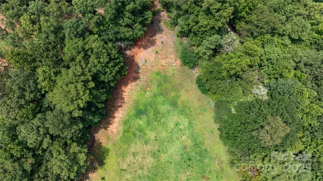a view of a yard with plants