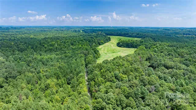 a view of a lush green outdoor space with a swimming pool and valleys in the background
