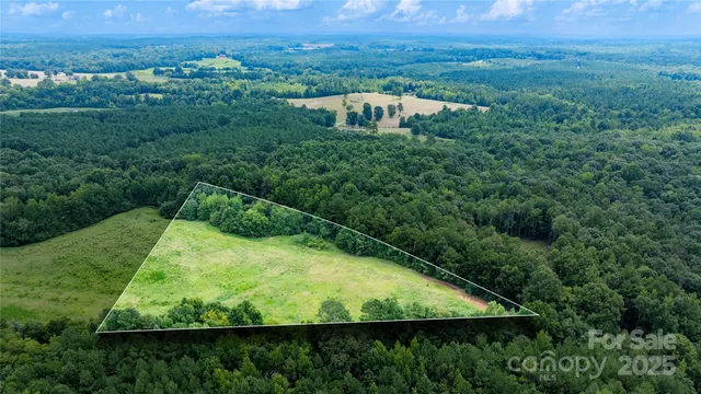 an aerial view of residential houses with outdoor space and trees