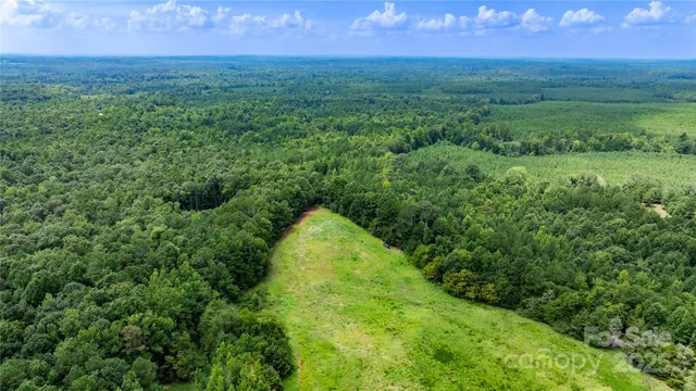 a view of a lush green space