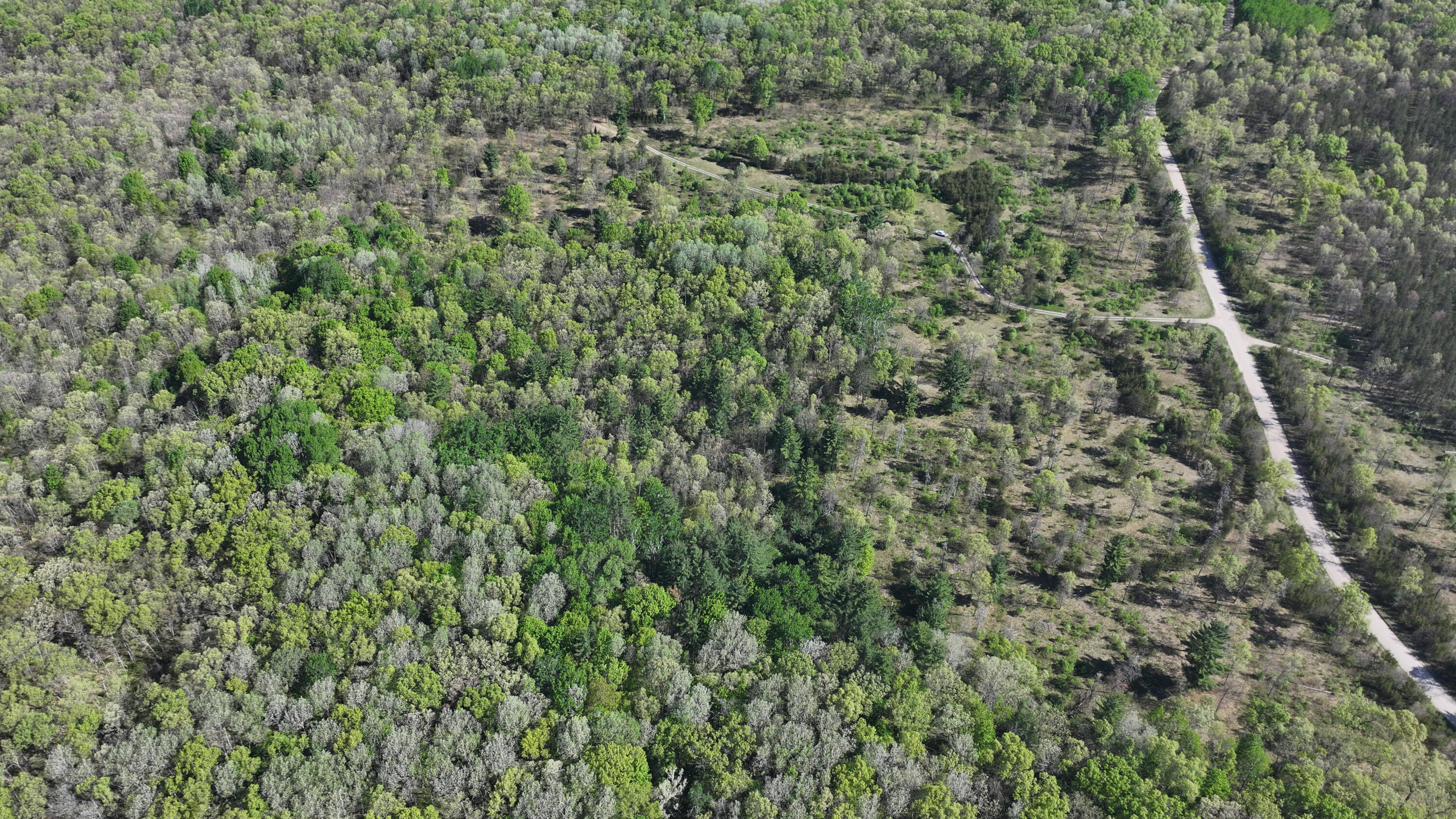 V/l West Hoague Road Manistee, MI 49660 - Photo 4 of 12 DJI_20260529100056_0398_D copy