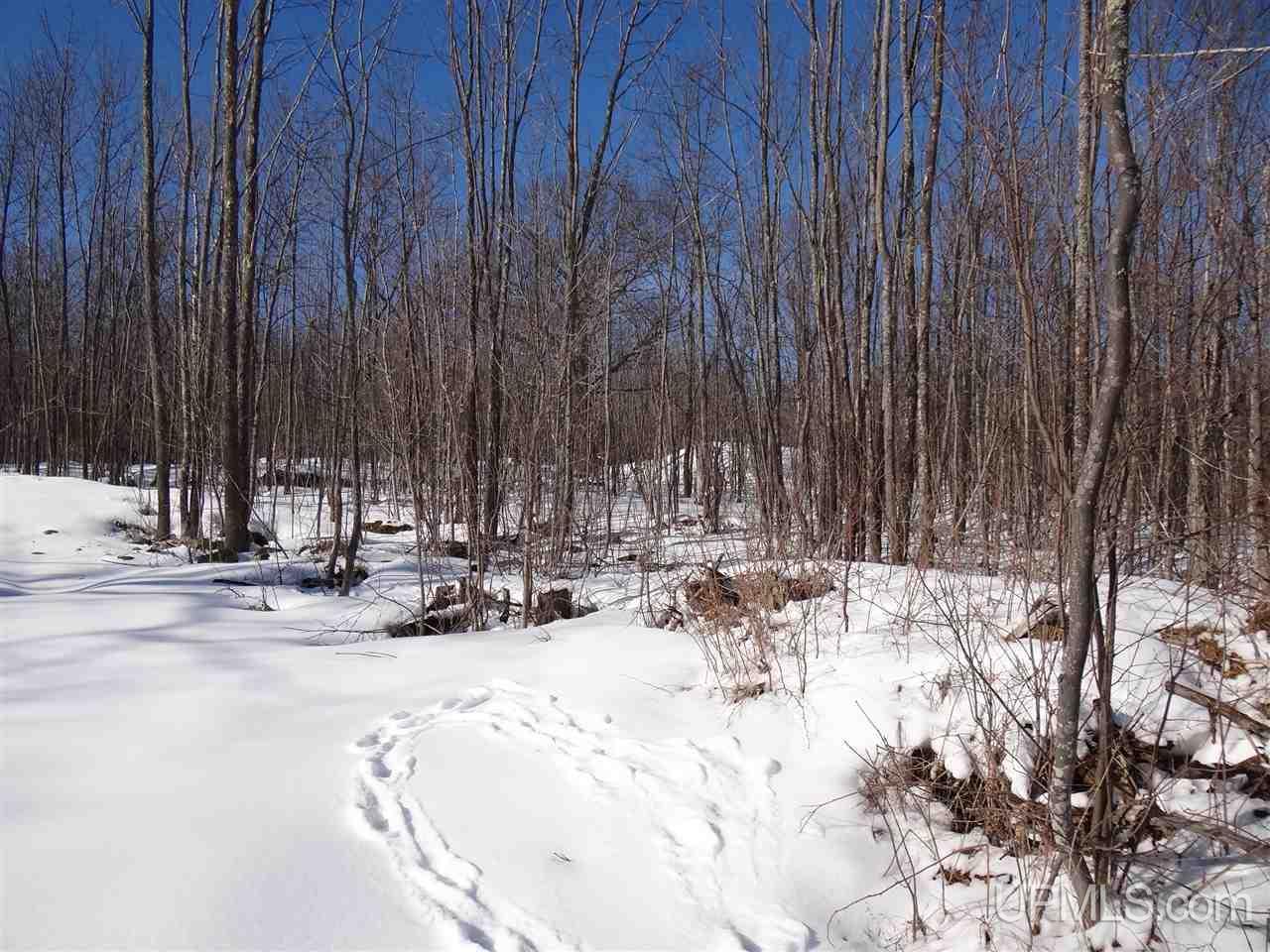 Tbd Blessent Road, Unit LOT E Hancock, MI 49930 - Photo 6 of 12 Gallery Image 6
