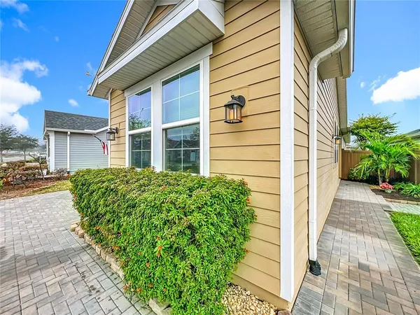 a potted plant sitting in front of a house
