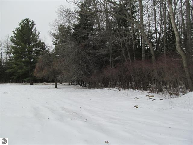 4464 South Wilson Road Falmouth, MI 49632 - Photo 29 of 36 29