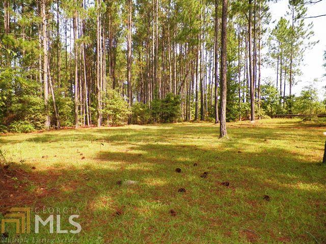 282 Kate Parkerson Road Chauncey, GA 31011 - Photo 1 of 1 Gallery Image 1
