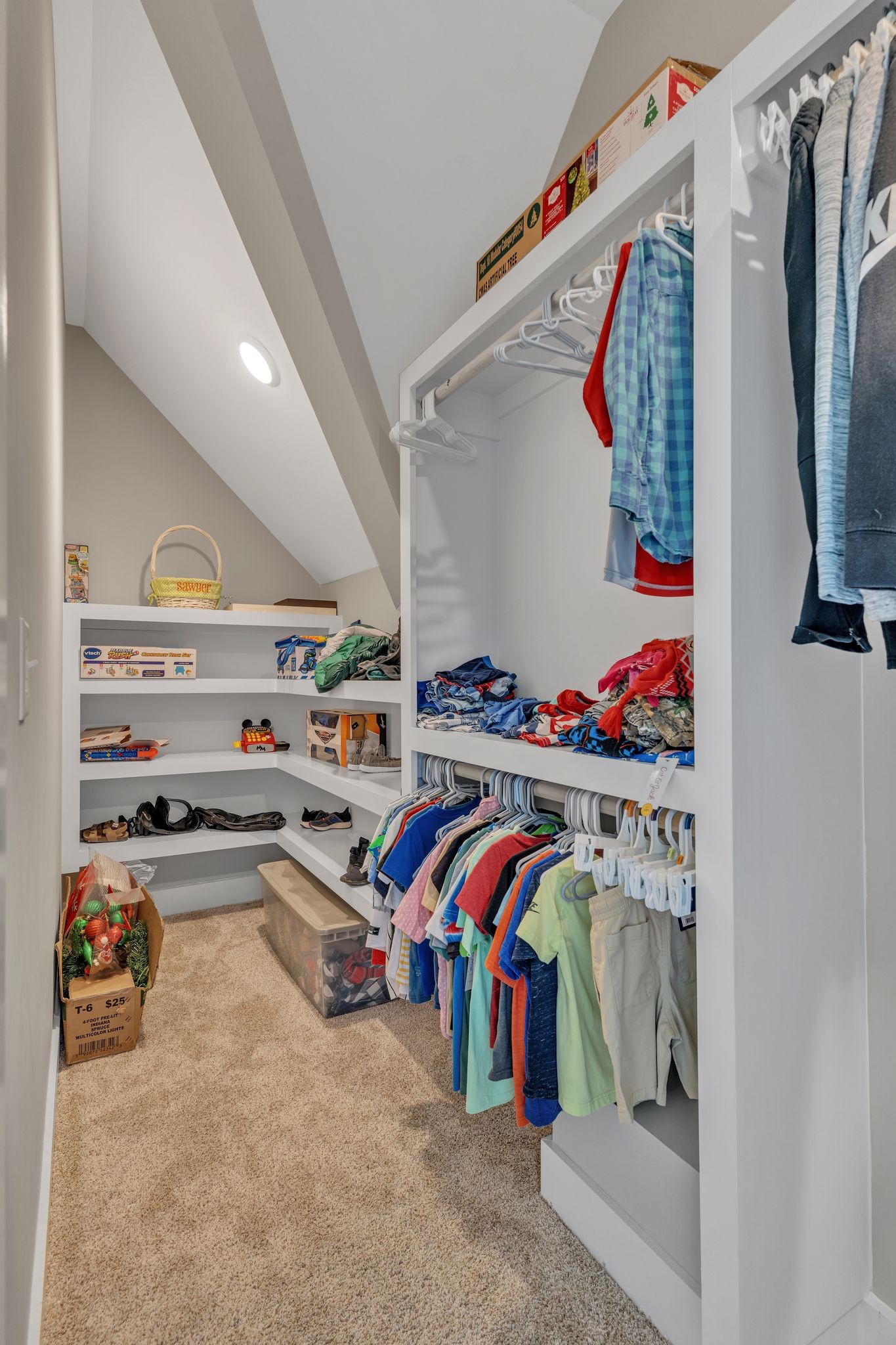 2487 Cave Springs Road Greenbrier, TN 37073 - Photo 23 of 41 a view of storage and utility room