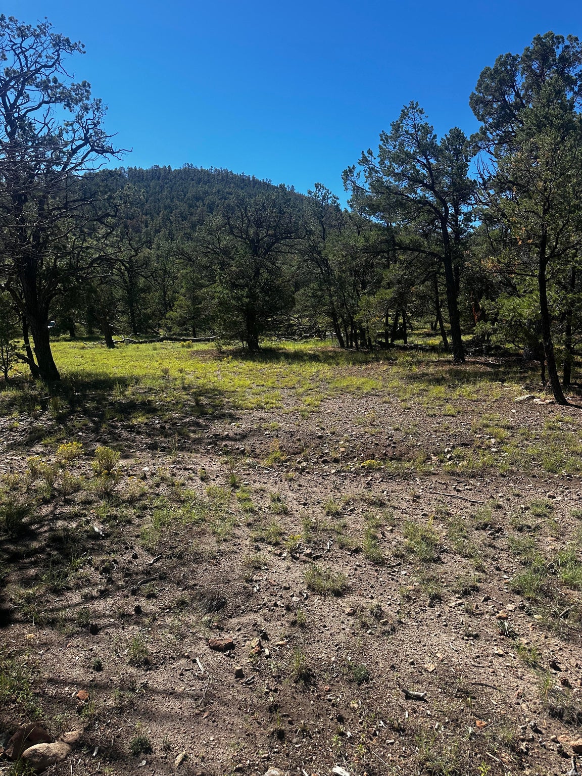 61 Wilderness Circle Datil, NM 87821 - Photo 2 of 2 Gallery Image 2