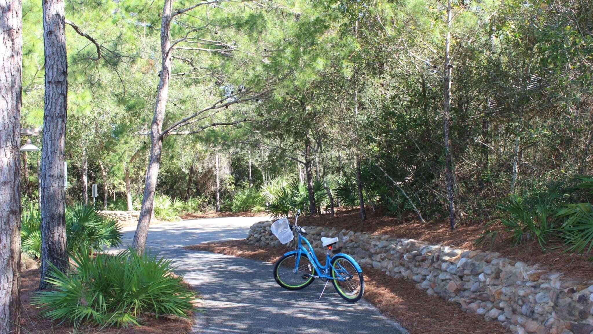 145 Spires Lane, Unit 406 Santa Rosa Beach, FL 32459 - Photo 33 of 38