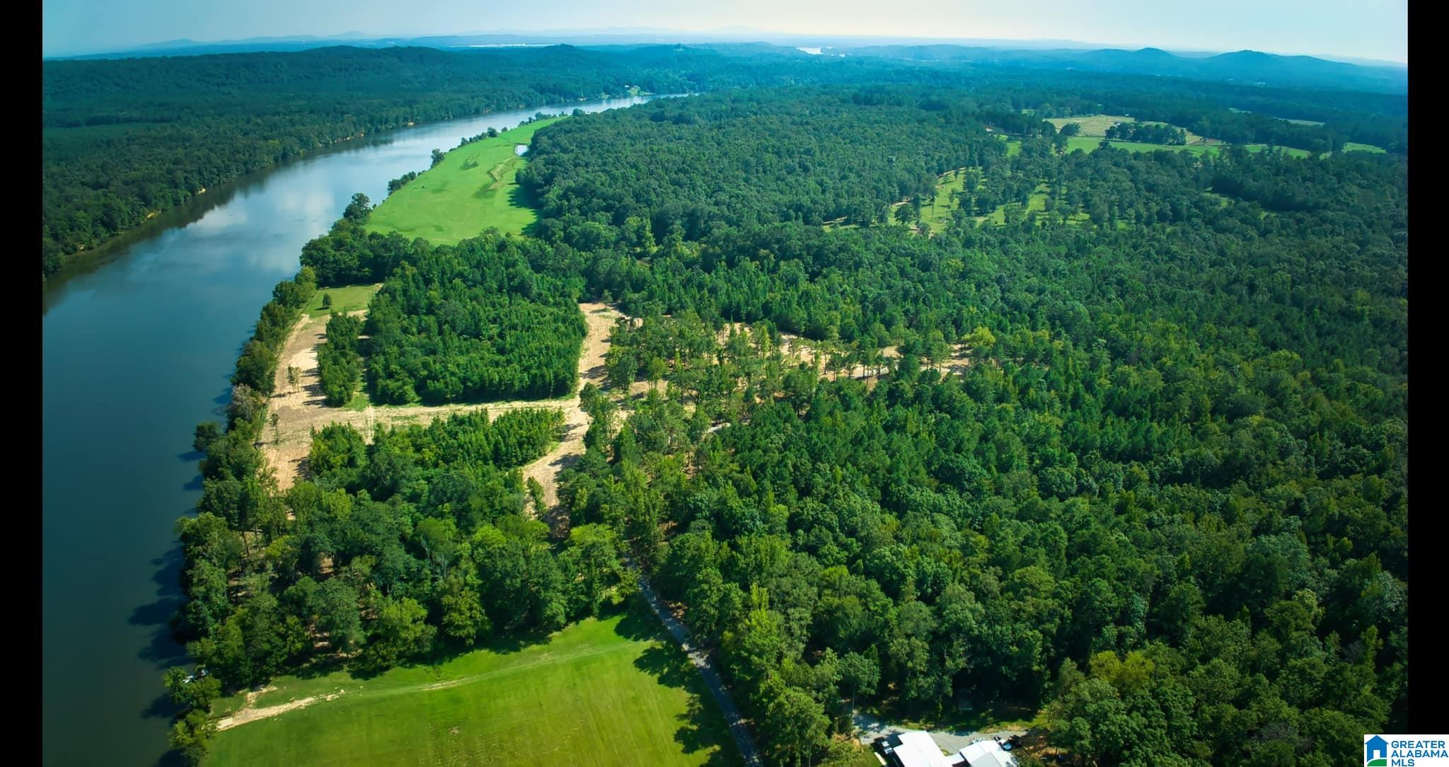 Lot 25 Wester Road, Unit LOT 25 Ragland, AL 35131 - Photo 10 of 27