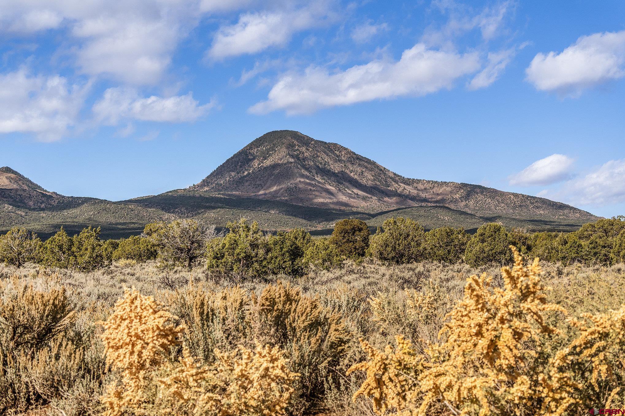 2997 20.5 Road Cortez, CO 81321 - Photo 12 of 27 Gallery Image 12