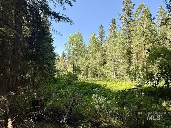 $64,900 | 83 Panorama Drive, Cascade, ID 83611