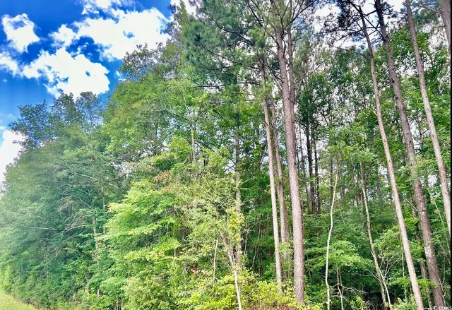 $369,000 | 0 Fc Cox Road, Hemingway, SC 29554
