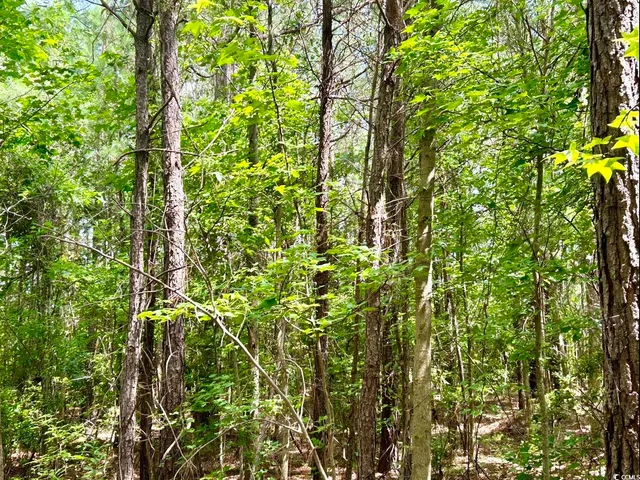 $369,000 | 0 Fc Cox Road, Hemingway, SC 29554