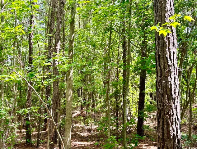 $369,000 | 0 Fc Cox Road, Hemingway, SC 29554