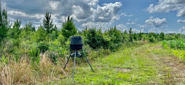 $369,000 | 0 Fc Cox Road, Hemingway, SC 29554