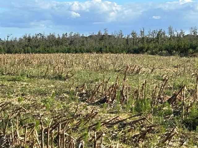 $369,000 | 0 Fc Cox Road, Hemingway, SC 29554