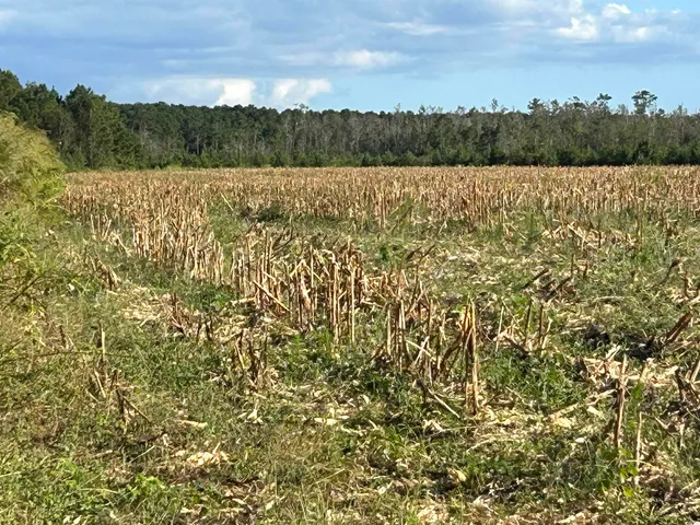 $369,000 | 0 Fc Cox Road, Hemingway, SC 29554