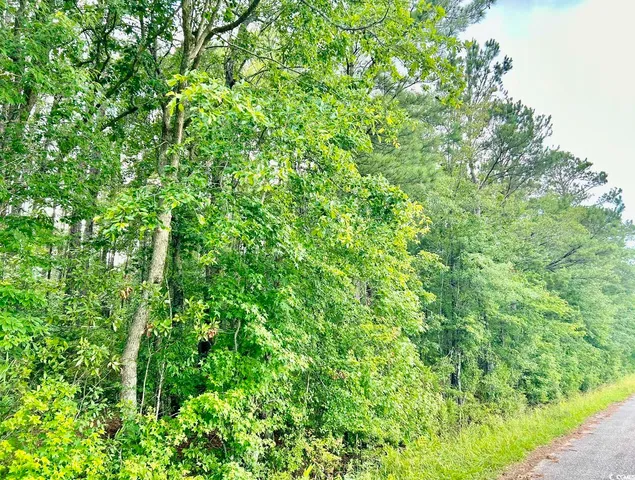 $369,000 | 0 Fc Cox Road, Hemingway, SC 29554