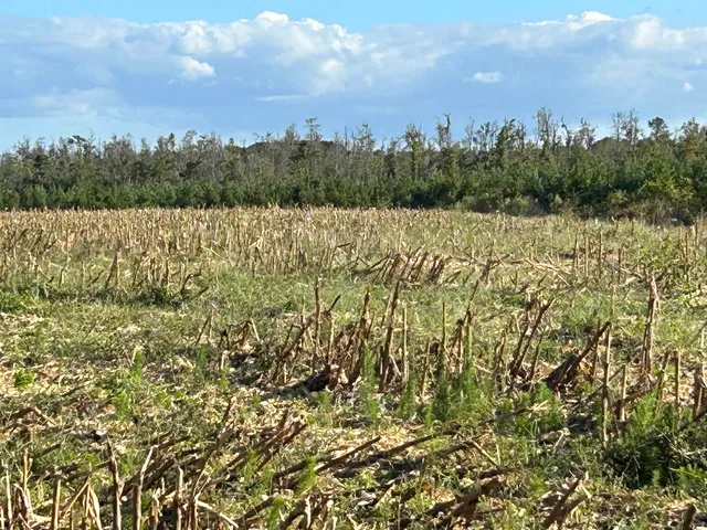 $369,000 | 0 Fc Cox Road, Hemingway, SC 29554