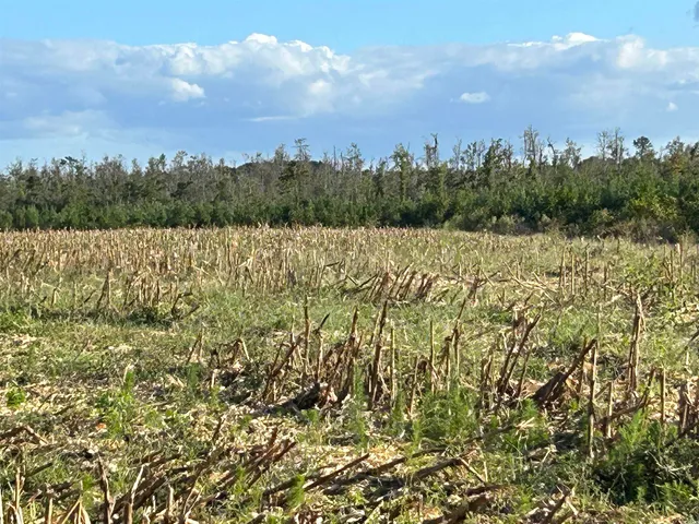 $369,000 | 0 Fc Cox Road, Hemingway, SC 29554