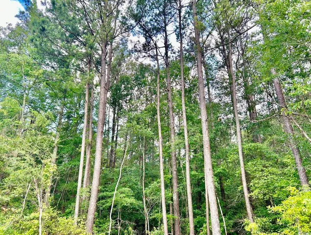 $369,000 | 0 Fc Cox Road, Hemingway, SC 29554