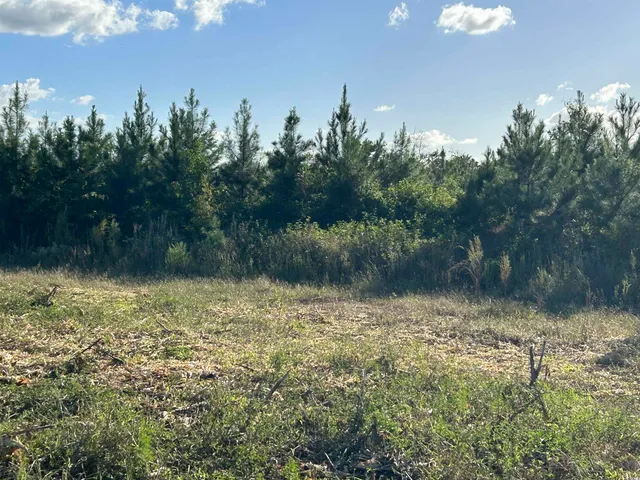 $369,000 | 0 Fc Cox Road, Hemingway, SC 29554