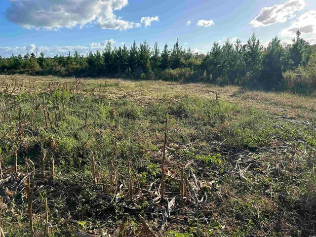 $369,000 | 0 Fc Cox Road, Hemingway, SC 29554