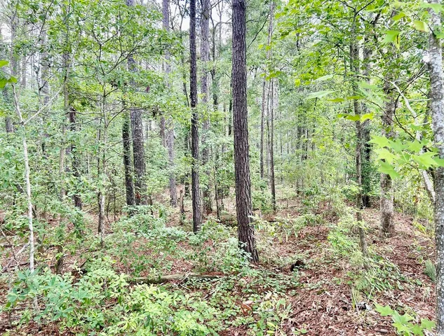 $369,000 | 0 Fc Cox Road, Hemingway, SC 29554