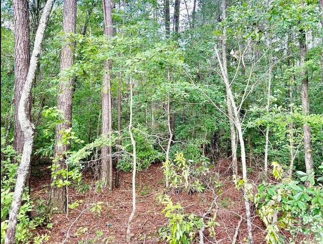 $369,000 | 0 Fc Cox Road, Hemingway, SC 29554